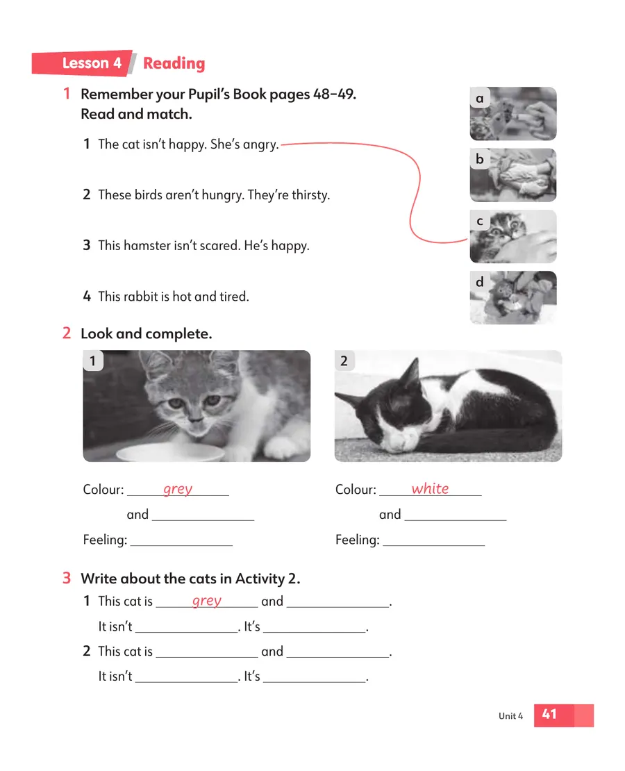 Sample p.4