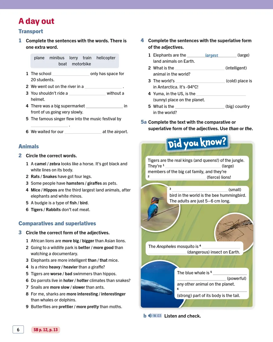 Sample p.8